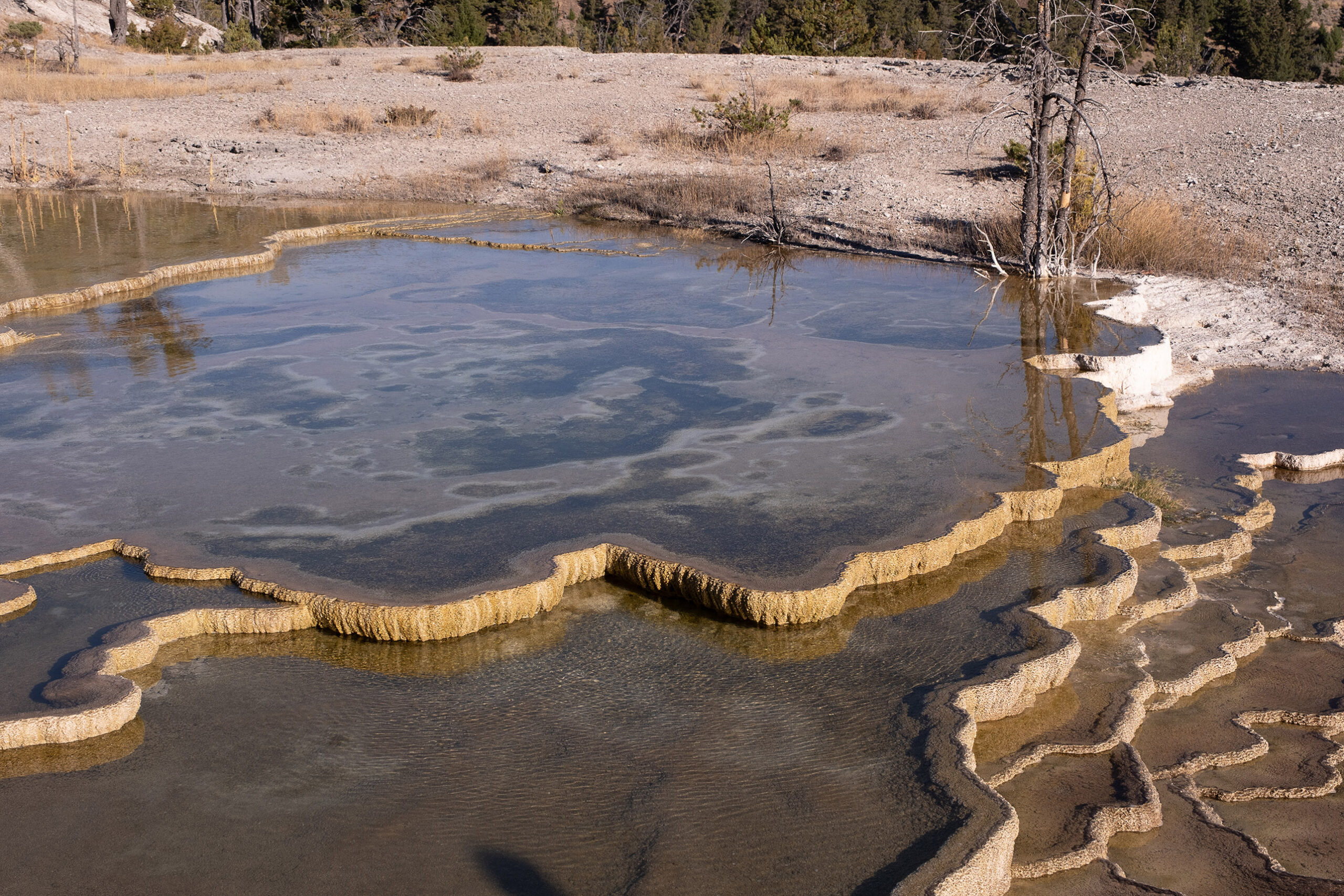 daniel-jeantelet-8g5dvmrtboim-daniel-jeantelet-yellowstone-11