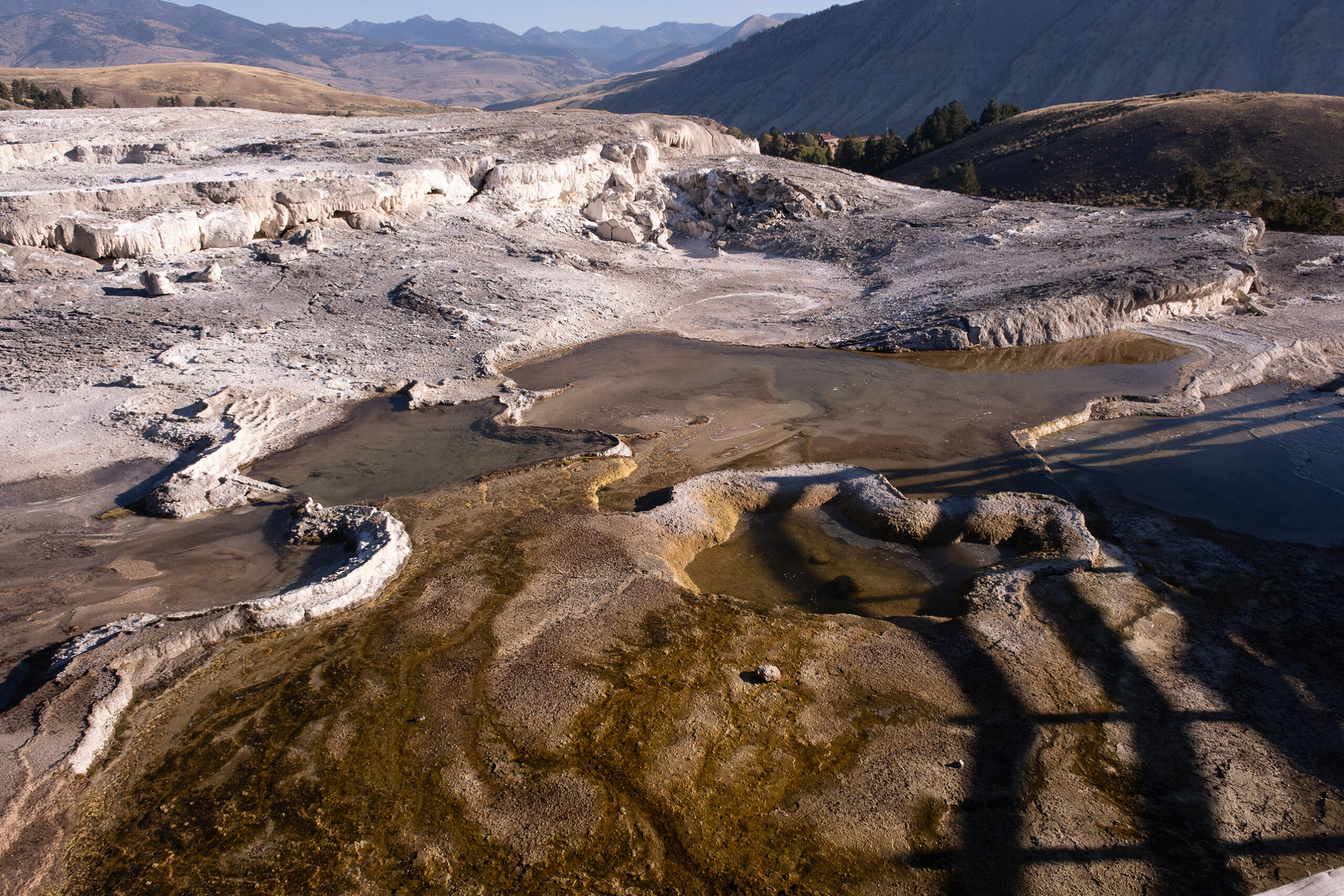 daniel-jeantelet-qhyiekllerq4-daniel-jeantelet-yellowstone-10